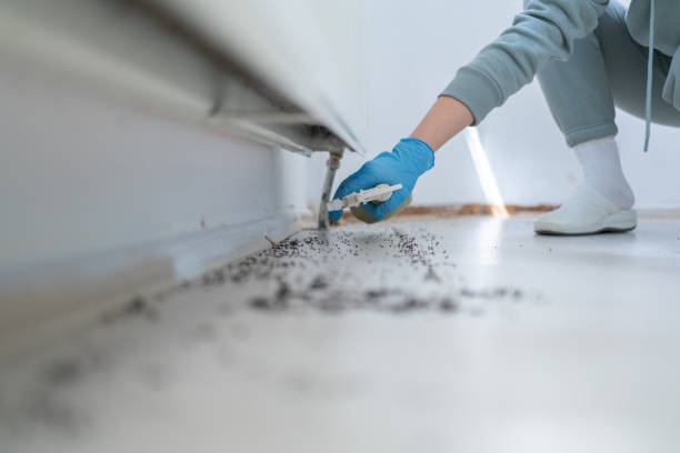 Best Pest Inspection Near Me  in Coson, OK